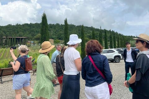 3 Cellars in Chianti with Visits, Wine Tastings, Lunch&Transfer