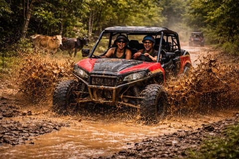 Expedición en Buggy por la Selva de Bayahibe
