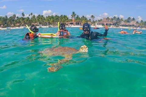Svøm med skildpadder i Akumal