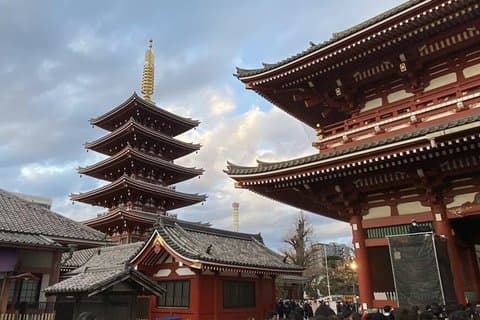 Tokyo Private Tour Highlights Temples Markets and Skyline