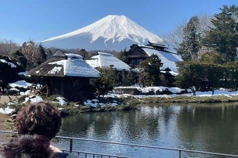 Excursión privada de un día al Monte Fuji, conductor de habla inglesa