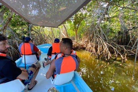 Nature tour full experience river lizards