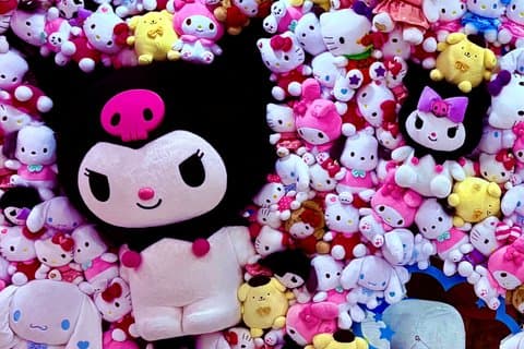 Jeju Trendy Cafe Tour with Hello Kitty Island
