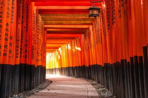 T5 Uji & Fushimi: Helgedomar, te & Sake busstur