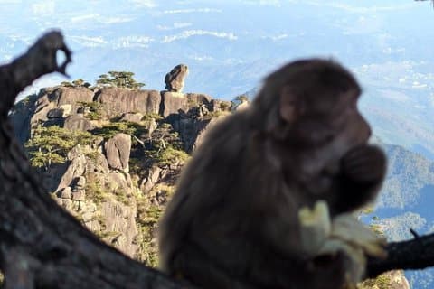 Gita di un giorno a Huangshan Saggezza dei pini antichi e geologia del picco