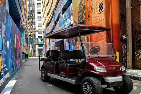 Charlotte Historical City Guided Sightseeing E-Cart Tour