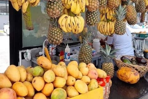 CiTY TOUR FROM PUNTACANA + COOFEE & CHOCOLATE TASTING + ランチ