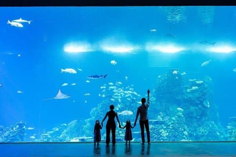 Tickets to the Grand Aquarium Mazatlan