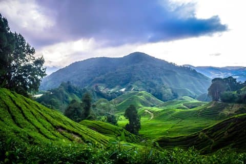 Package B Cameron Full Day Discovery Private Tour
