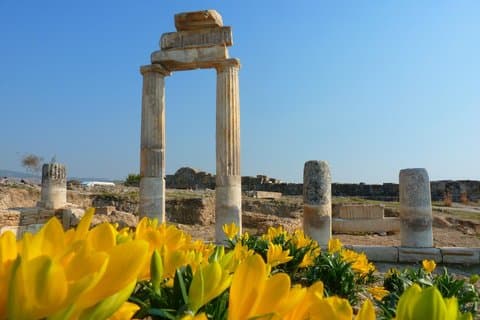 Éfeso - Pamukkale - Antalya Tour Privado de 3 Días y Traslados