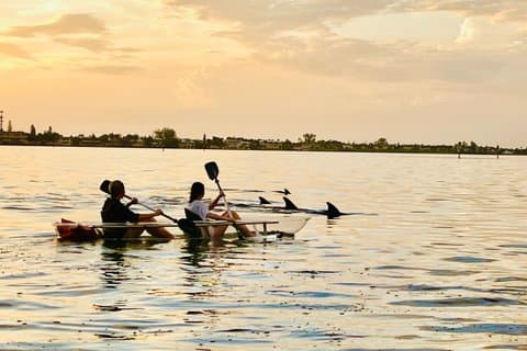 Tour mattutino in kayak a Anna Maria Island