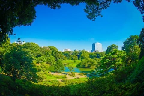 Tokio : Rikugien Garden Walk mit Matcha aus der Edo-Zeit