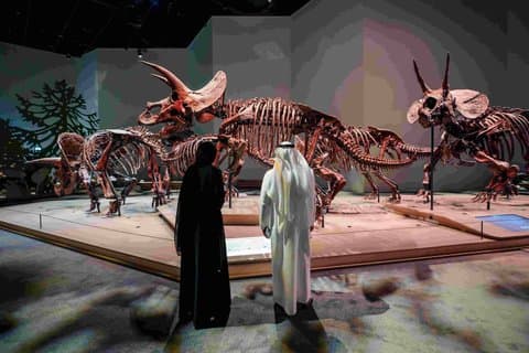 Billetter til Zayed National Museum Abu Dhabi
