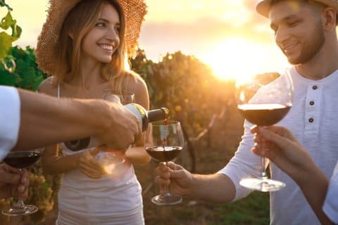 Expérience pour les amateurs de vin à Montalcino