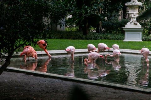 The Secret Milan – Um passeio exclusivo para além do caminho batido