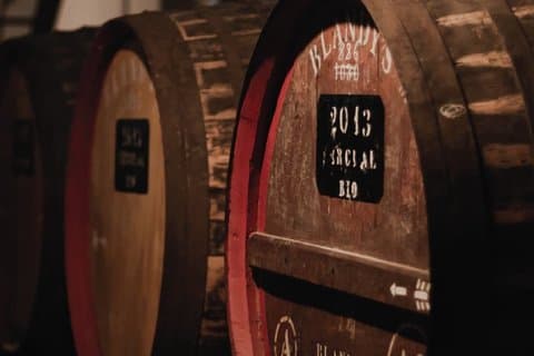 Madeira Guided Wine Tour & Extra's