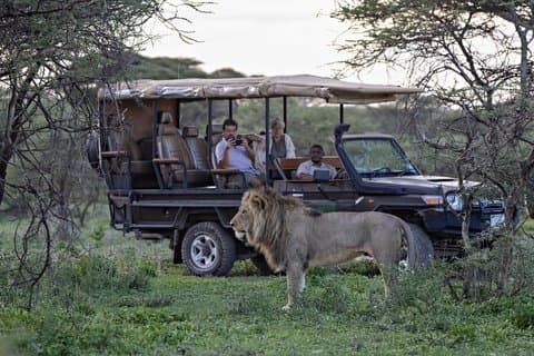 Tanzania Luxury Safaris for Honeymooners in Serengeti Park