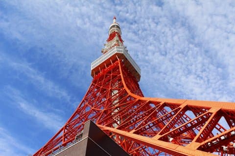 Biglietto d'ingresso alla Tokyo Tower