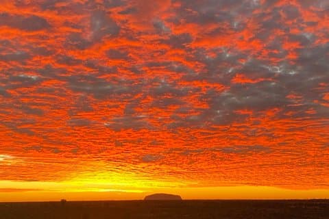 Tour de 7 días a Adelaida desde Alice Springs