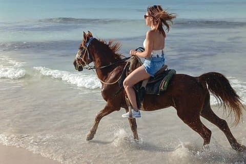 Paardrijden in Macau Punta Cana