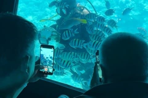 Royal Seascope Submarine Cruise in Hurghada
