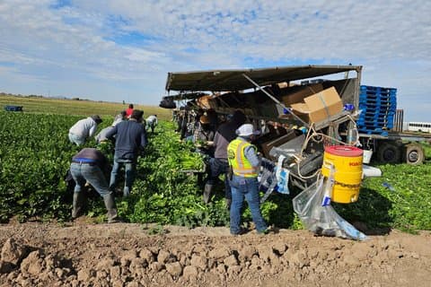 Yuma, AZ: 1/2 day private farm and produce processing tour