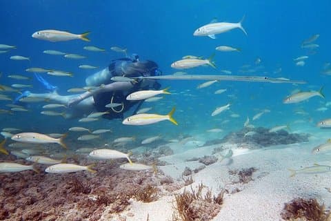 Avventura subacquea Principiante privata con video gratuiti