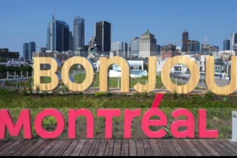 Montreal Day Tour from Ottawa Scenic Sights and Culture 8 Hours