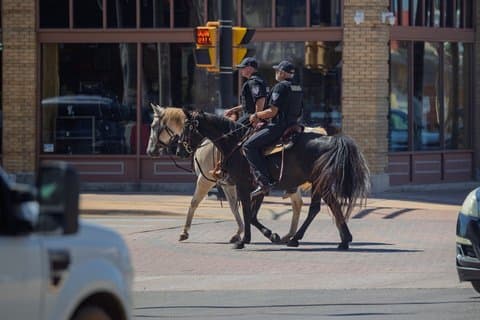 Cowboy for a Day
