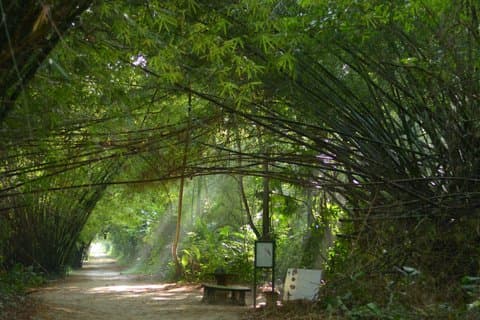 Peperpot hiking trail and historical tour
