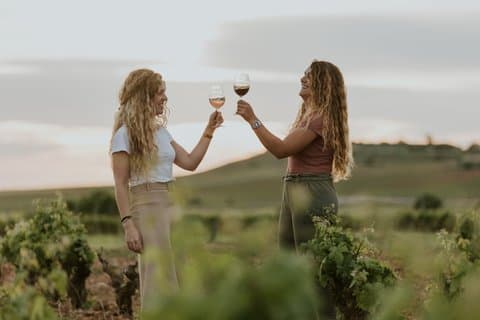 Vineyard aktivitet og land snack med Rioja Farmer Experience