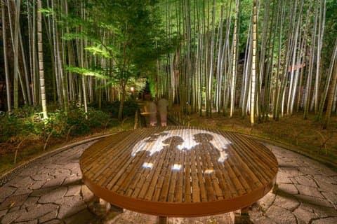 Naturskön Izu- och Shuzenjikultur 2 dagars tur från Mishima Station