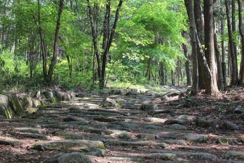 Nakasendo Trail 2dagar i Higashi Mino-området från Nagoya