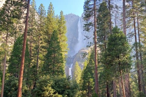 Los Angeles til Kings Canyon og Yosemite 2-dagers tur