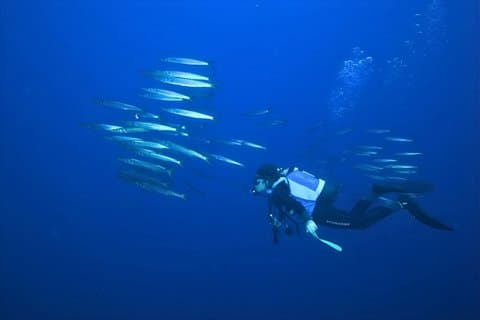 Santa Teresa Di Gallura First Dive with an Instructor