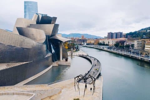 Privat Guggenheim Museum Bilbao Tour med lokal guide