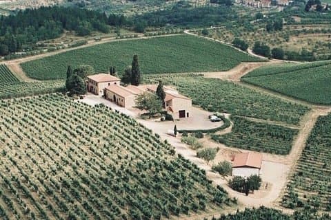 Excursión privada al vino Chianti desde Florencia con almuerzo y terracota