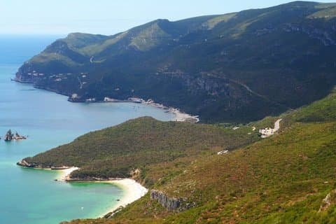 Arrábida-, Azeitão- und Sesimbra-Fliesen, im Wein gebratener Tintenfisch
