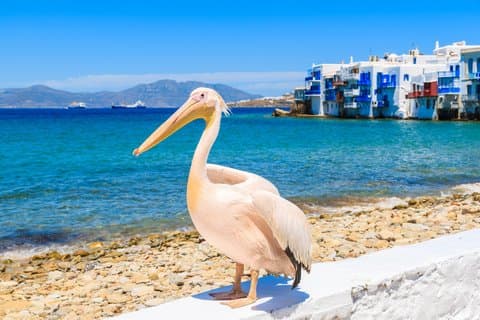 Mykonos Good Vibes Tour Privado de Diversão e Fantasia