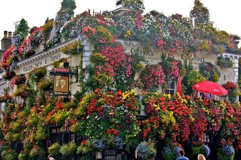 Vintage Royals and Luxury Portobello to Palace Rickshaw Tour