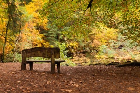 Activiteiten in de omgeving van The Hermitage and Blair Atholl Castle