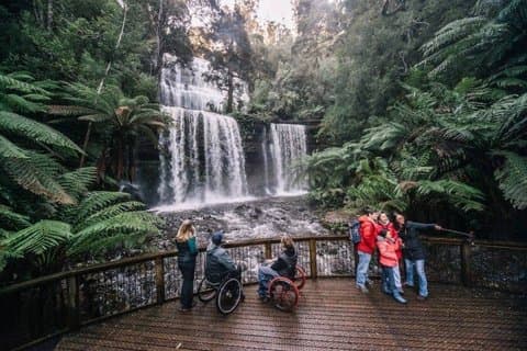 A Day Tour to Mt Field and Bonorong Wildlife Sanctuary