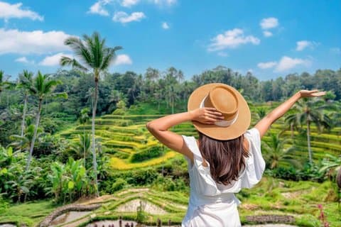 Ubud Private Tour : All-In Entry oder Flexibel