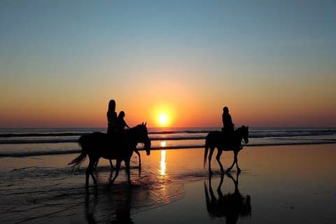 Balade à cheval privée au coucher du soleil à la plage de Kedungu à Bali