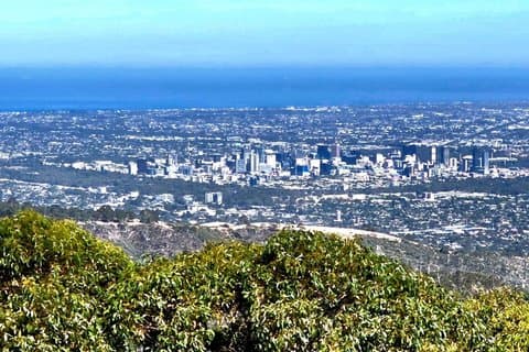 Nature's Haven SA Hills and Wildlife Tour