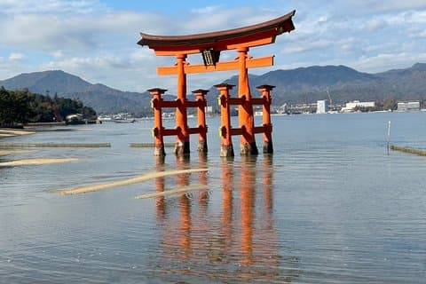 Tour Privado en Español Hiroshima y Miyajima