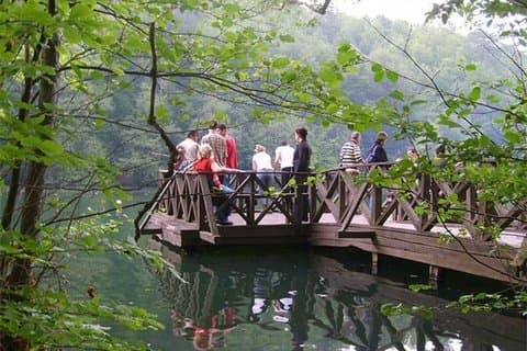 Istanbul: Sapanca Lake & Masukiye Day Tour with Lunch