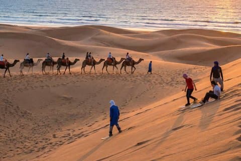 Agadir 2-in-1 Tour: Camel Ride & Sandboarding with Transfer