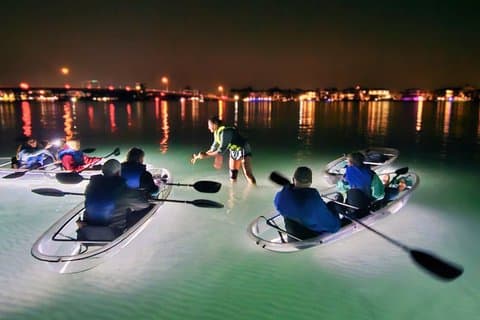 90 Minute LED Illuminated Clear Kayak Night Adventure Tour