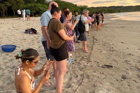Visite en bus de la réserve naturelle de La Flor Beach